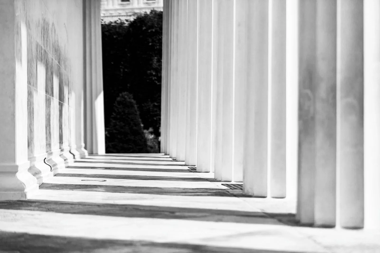 Columnas de un edificio judicial en blanco y negro
